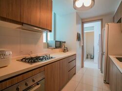 Optima @ Tanah Merah (D16), Condominium #559248561